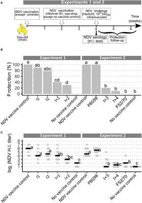 Blood B Cell Depletion Reflects Immunosuppression Induced by Live-Attenuated Infectious Bursal Disease Vaccines